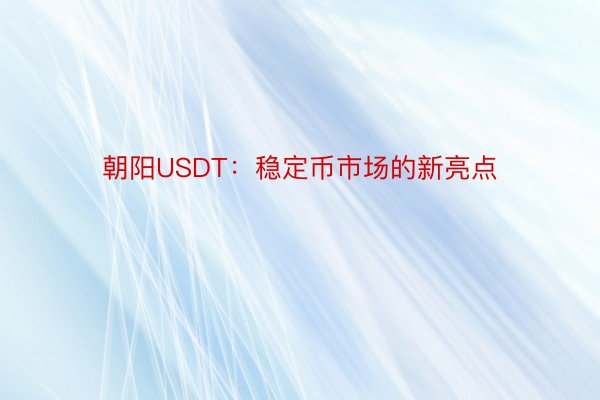 朝阳USDT：稳定币市场的新亮点